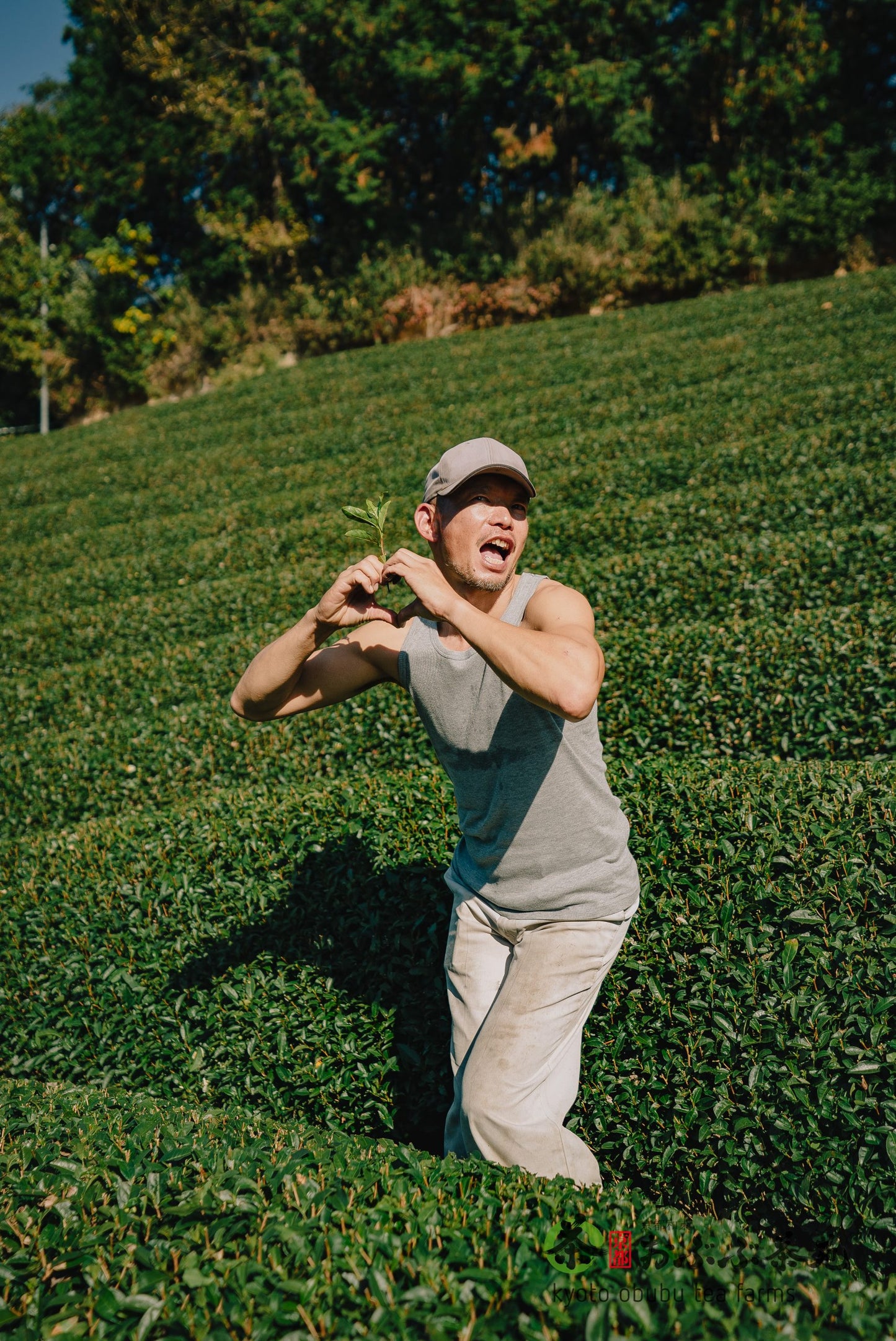 Matcha 25g -- Natural Okumidori, Obubu Tea Farms, Kyoto, Japan