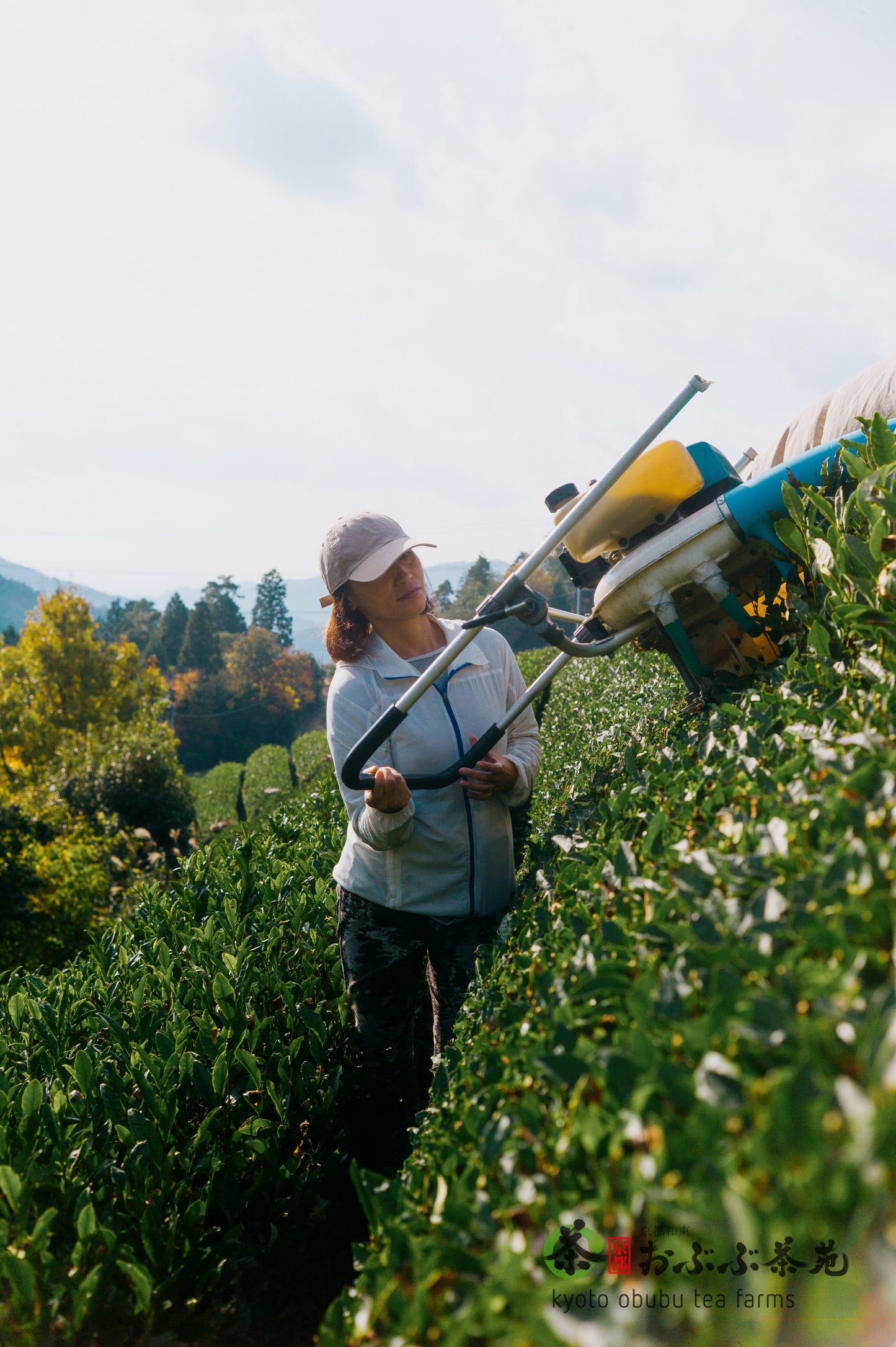 Matcha 25g -- Natural Okumidori, Obubu Tea Farms, Kyoto, Japan