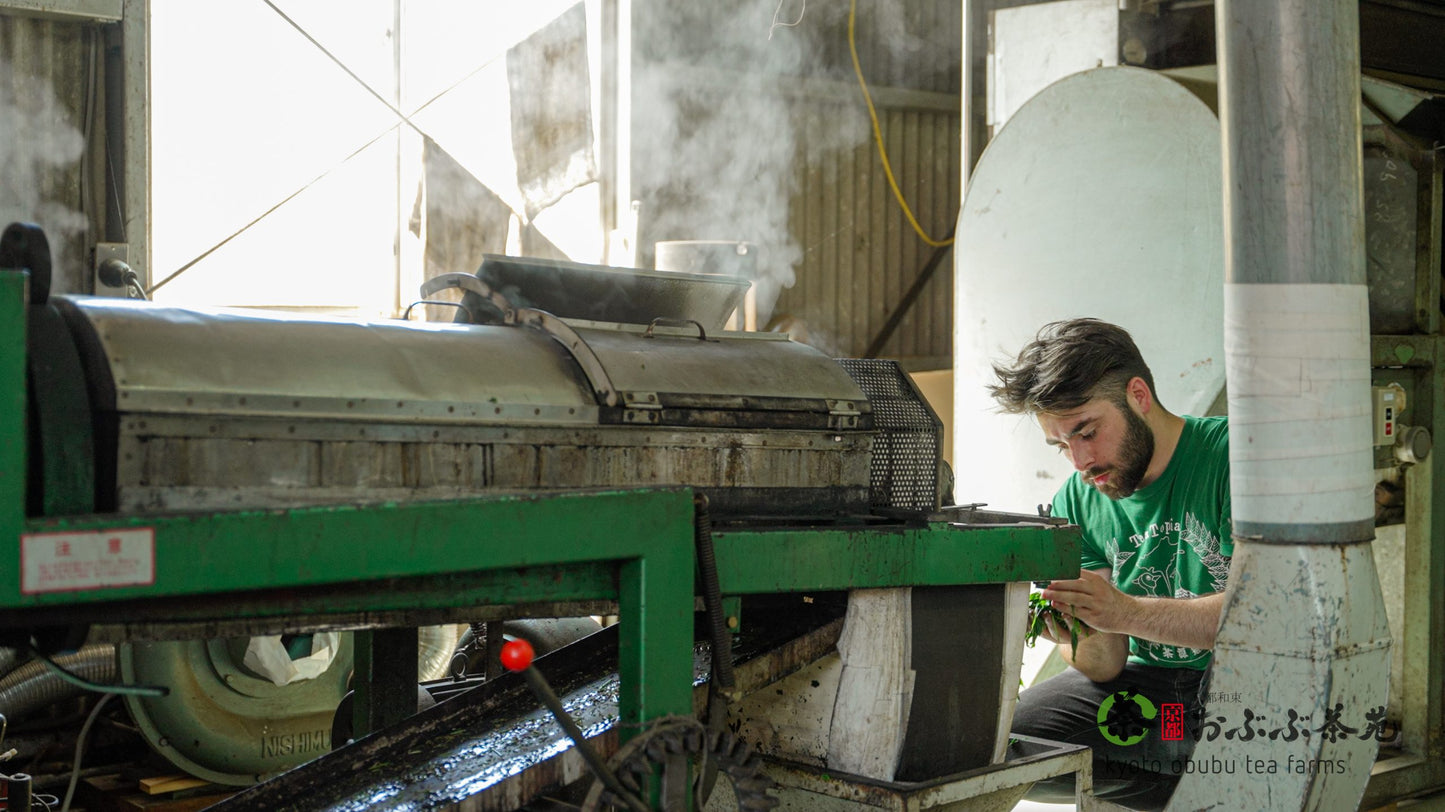 Matcha 25g -- Natural Okumidori, Obubu Tea Farms, Kyoto, Japan